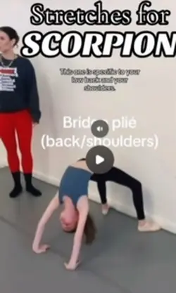Stretches 4 scorpion