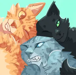 Warrior cats 🐱