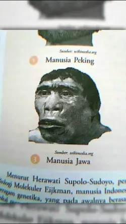 MANUSIA PURBA JAWA