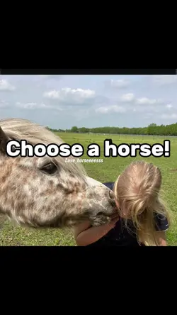 Choose a horse!
