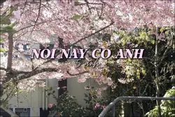 noi nay co anh