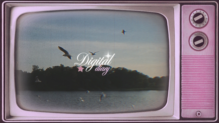 digital diary