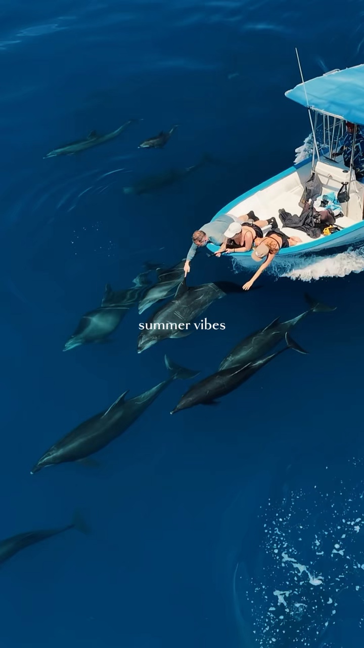 Vibrações de verão