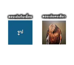 2รูปฟีฟาย