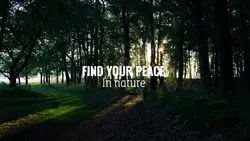 Find your peace