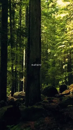 nature