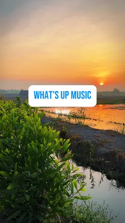 What's up music
