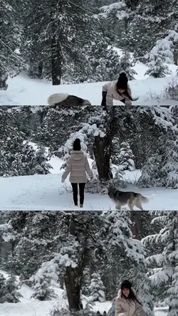 Winter Vibes ❄️ 