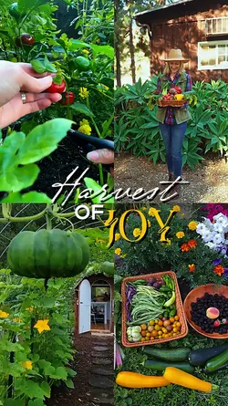 Harvest of joy