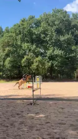 C’est qui galop 1 ?