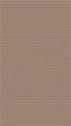 trendd 1000kotak fto