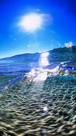 OCEAN BLISS 