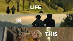 Life is this