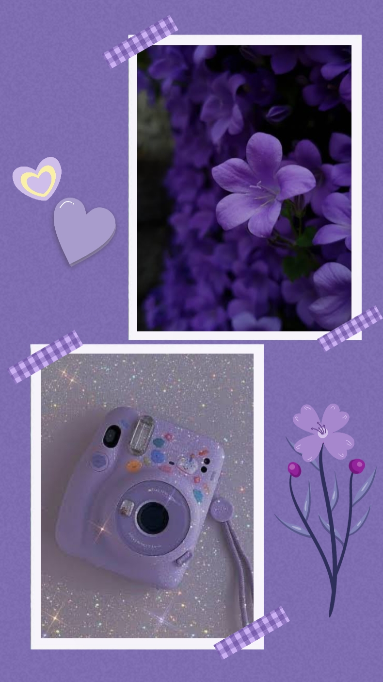 Cadre violet