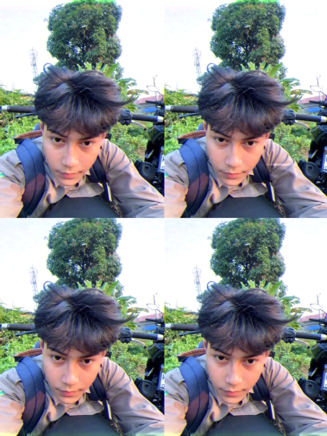 tata letak foto langsung