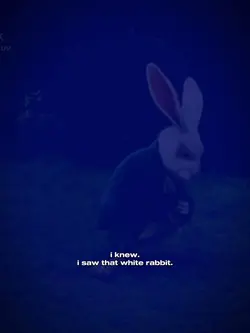 white rabbit