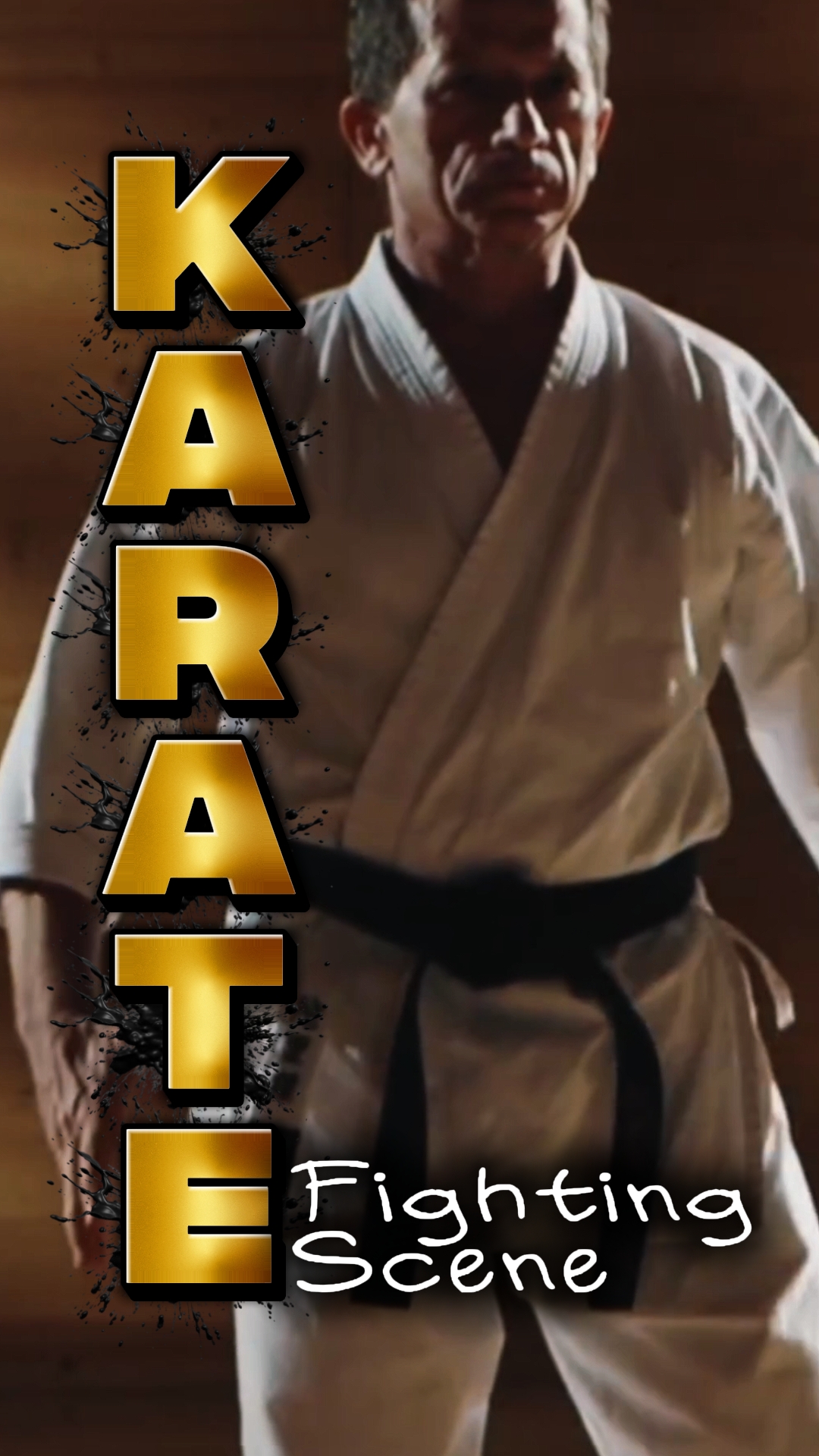 Kumite Karate 