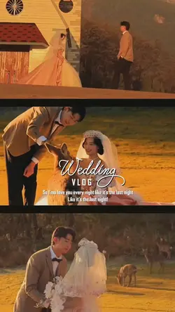 Vlog Đám Cưới ❤️