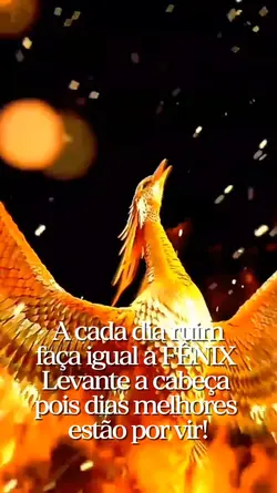 Reflexão de vida