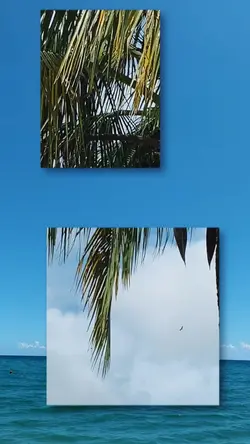 25 VideoDump Miami