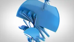 blue circle intro ²¹