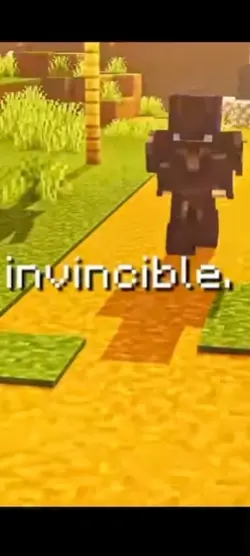 Minecraft invincible