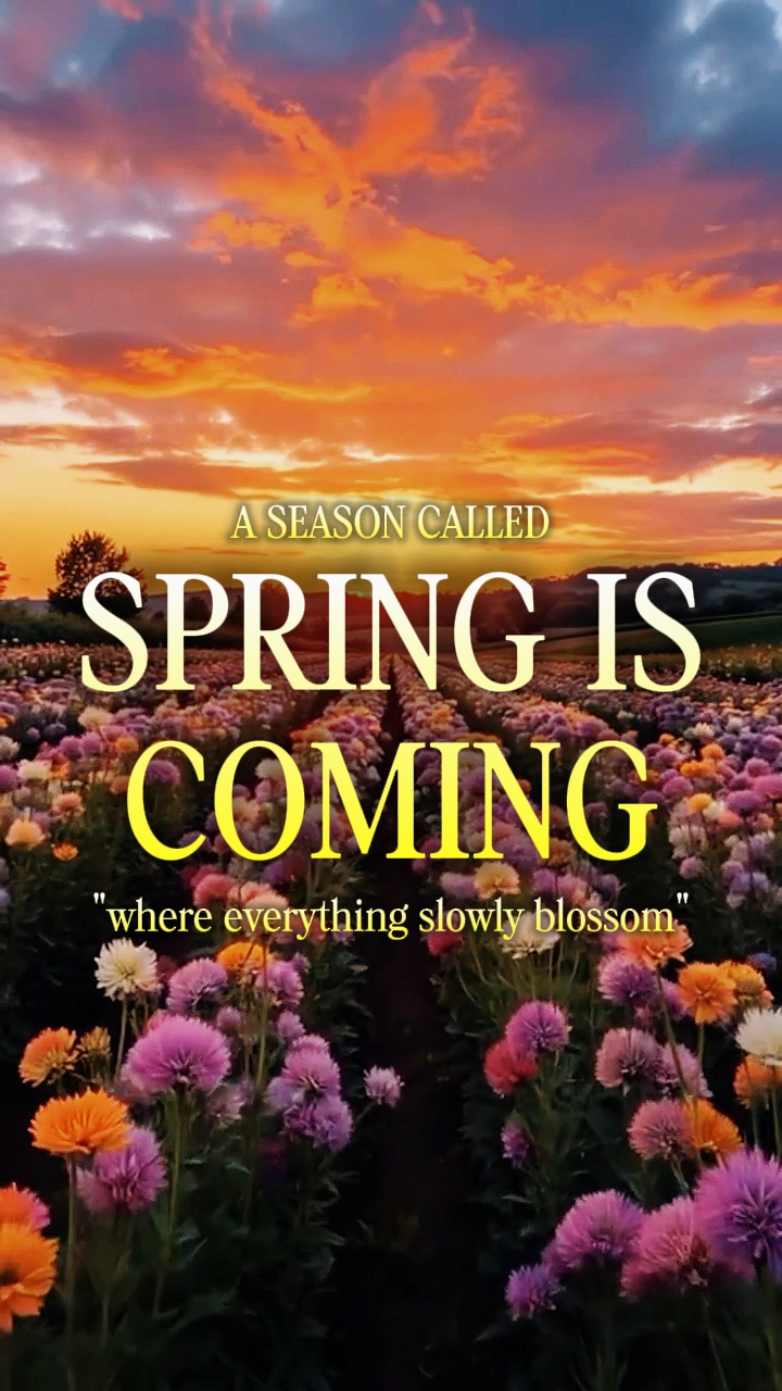 Día de primavera