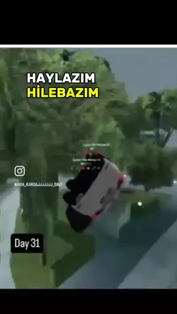 Haylazım akımı