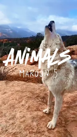 Animals Maroon 5