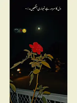 دل کا سرور ہے انکھیں