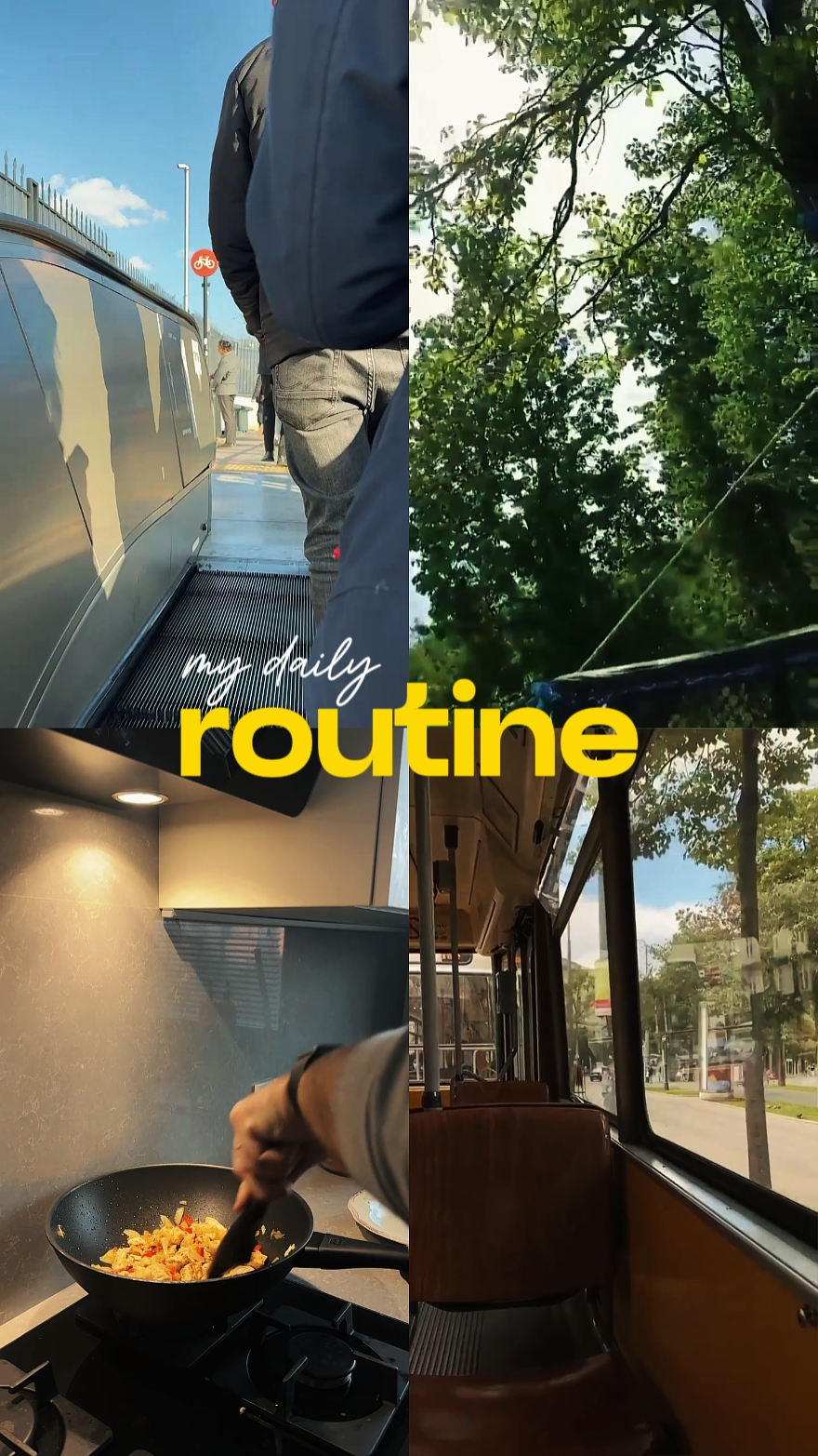 My Daily Routine