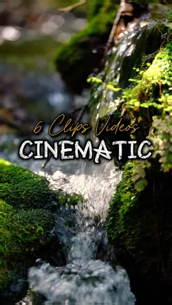6videos 
