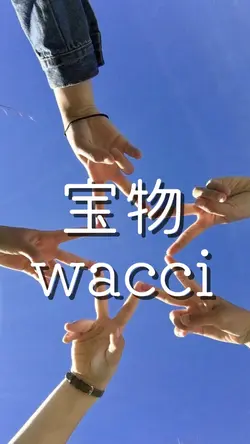 宝物
wacci