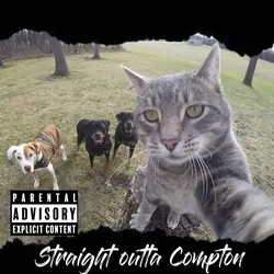 straight outta Compt