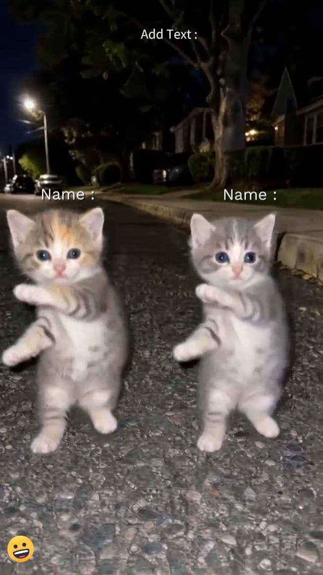 Chat de danse drôle Tren