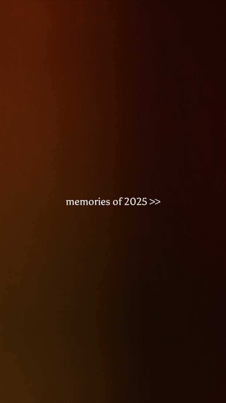 Resumen de 2025