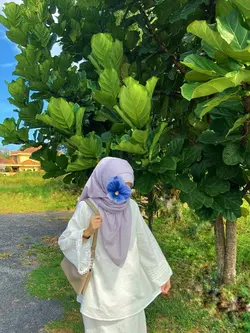 nasheed 