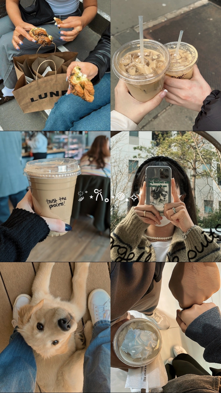 Collage de 6 fotos