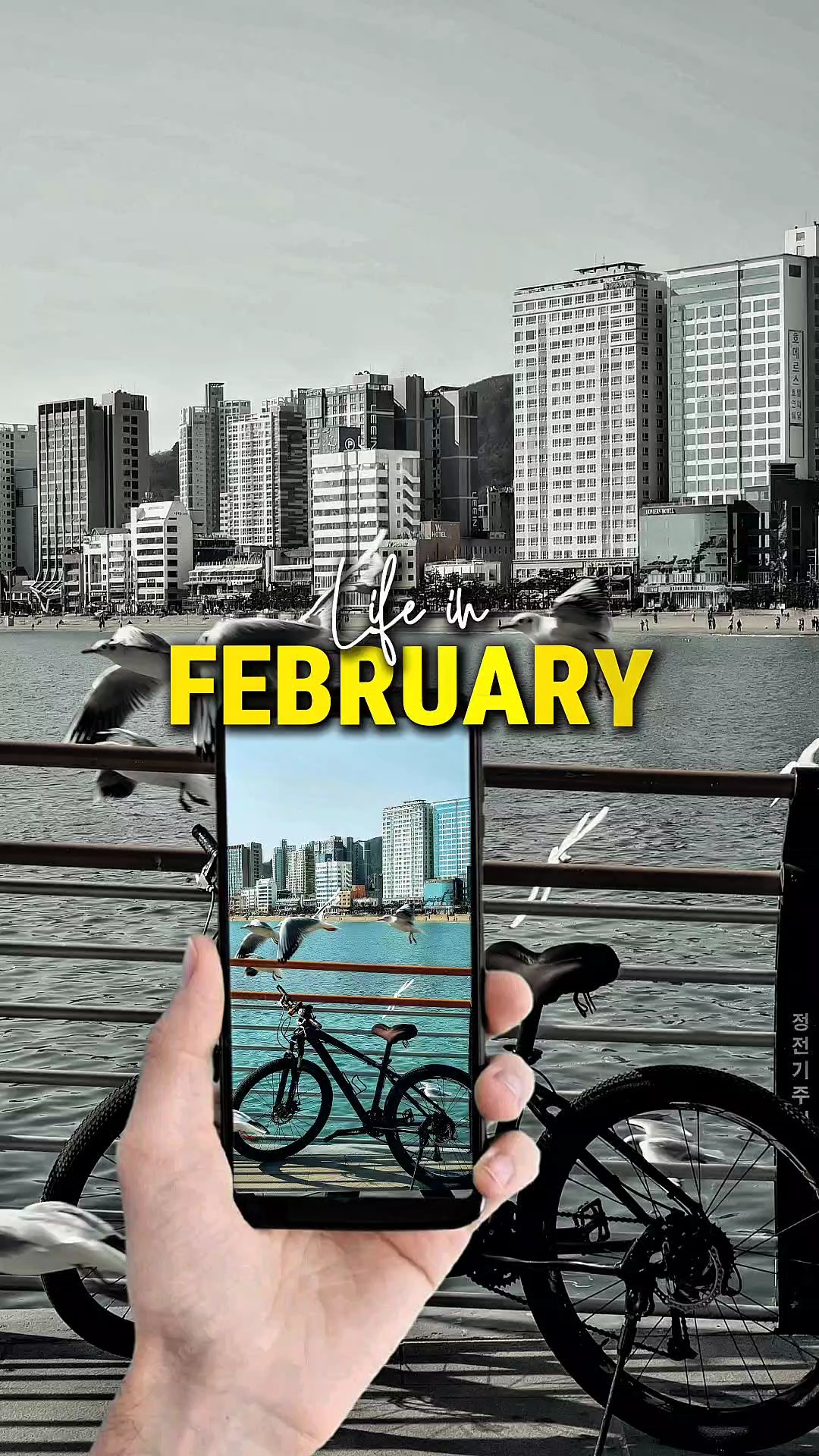 Life in February 