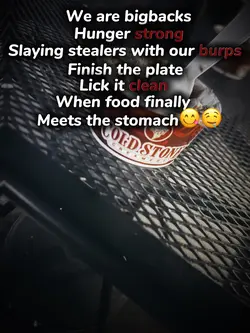 BIGBACKS UNITE 😎🤭🤤