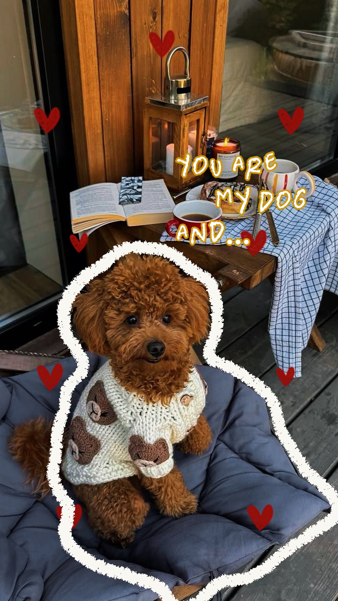 Mi Perro
