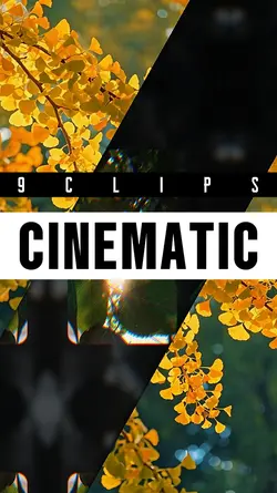 9 clips cinematic 