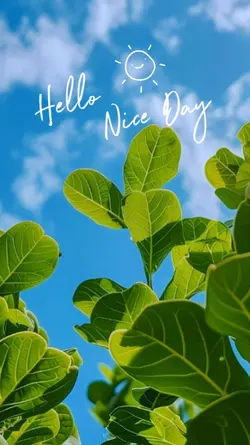 Hello Nice Day