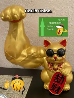 china social credits