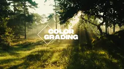 COLOR GRADING