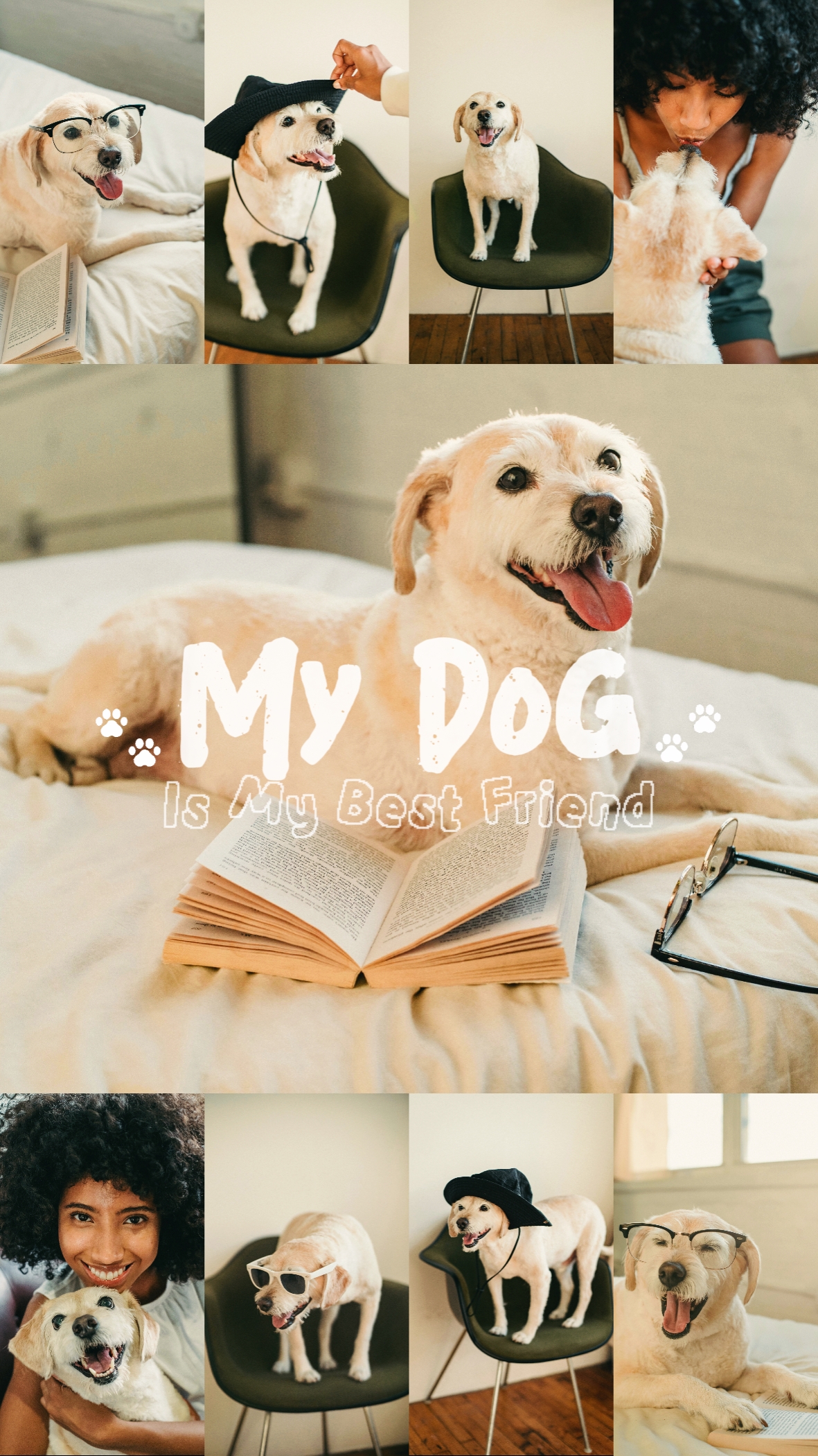 My Dog