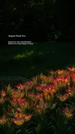 August thank you