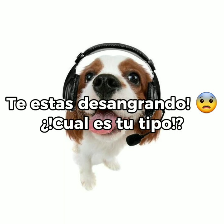 Cual es tu tipo?