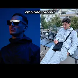 amo oder pasha?