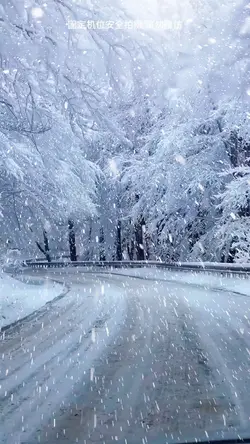 Snow Trend